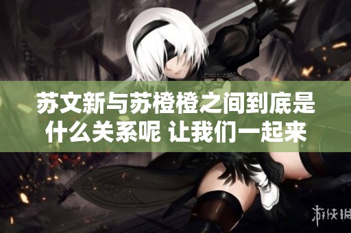 苏文新与苏橙橙之间到底是什么关系呢 让我们一起来探讨这个问题