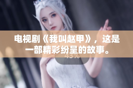 电视剧《我叫赵甲》，这是一部精彩纷呈的故事。