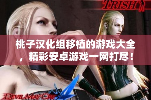 桃子汉化组移植的游戏大全，精彩安卓游戏一网打尽！