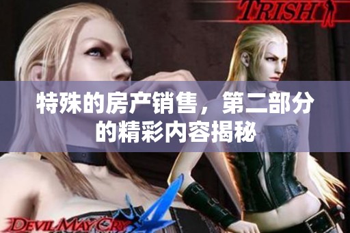 特殊的房产销售，第二部分的精彩内容揭秘