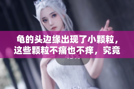 龟的头边缘出现了小颗粒，这些颗粒不痛也不痒，究竟是什么原因导致的呢