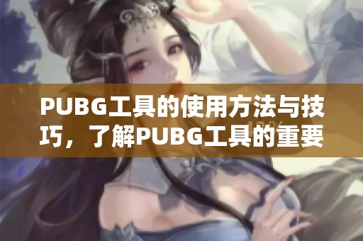 PUBG工具的使用方法与技巧，了解PUBG工具的重要性与实用性