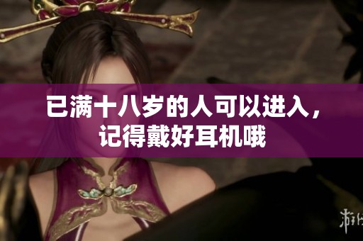 已满十八岁的人可以进入，记得戴好耳机哦