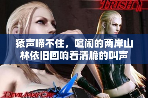 猿声啼不住，喧闹的两岸山林依旧回响着清脆的叫声