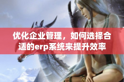 优化企业管理，如何选择合适的erp系统来提升效率