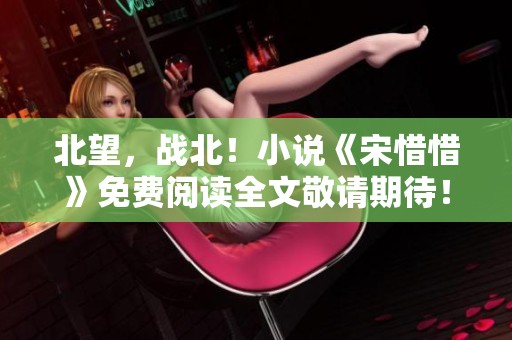 北望，战北！小说《宋惜惜》免费阅读全文敬请期待！