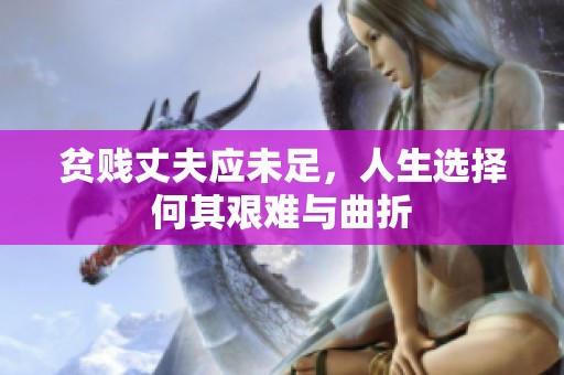 贫贱丈夫应未足，人生选择何其艰难与曲折
