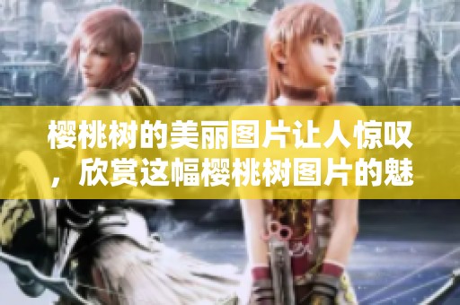 樱桃树的美丽图片让人惊叹，欣赏这幅樱桃树图片的魅力所在
