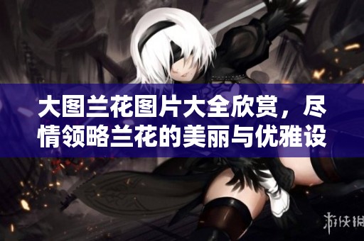 大图兰花图片大全欣赏，尽情领略兰花的美丽与优雅设计