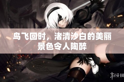 鸟飞回时，渚清沙白的美丽景色令人陶醉