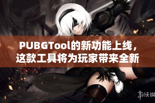 PUBGTool的新功能上线，这款工具将为玩家带来全新体验