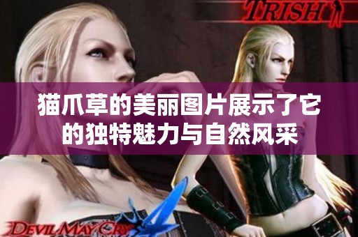 猫爪草的美丽图片展示了它的独特魅力与自然风采