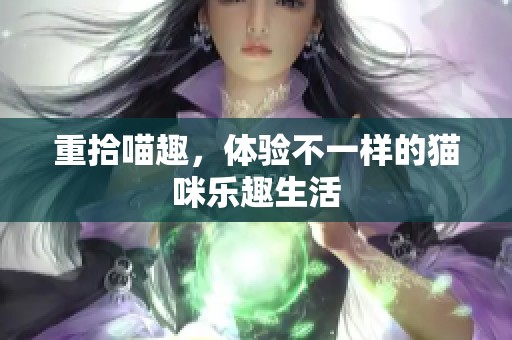 重拾喵趣，体验不一样的猫咪乐趣生活