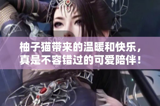 柚子猫带来的温暖和快乐，真是不容错过的可爱陪伴！