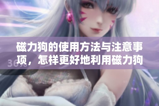 磁力狗的使用方法与注意事项，怎样更好地利用磁力狗这个工具