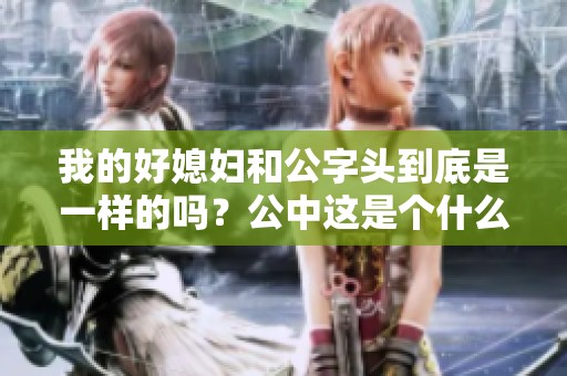 我的好媳妇和公字头到底是一样的吗？公中这是个什么样的说法呢？