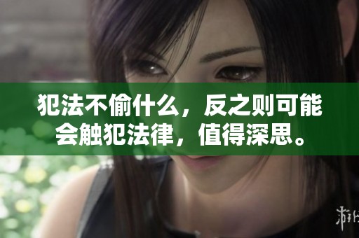 犯法不偷什么，反之则可能会触犯法律，值得深思。