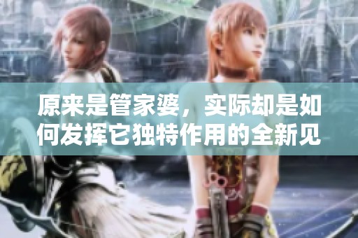 原来是管家婆，实际却是如何发挥它独特作用的全新见解