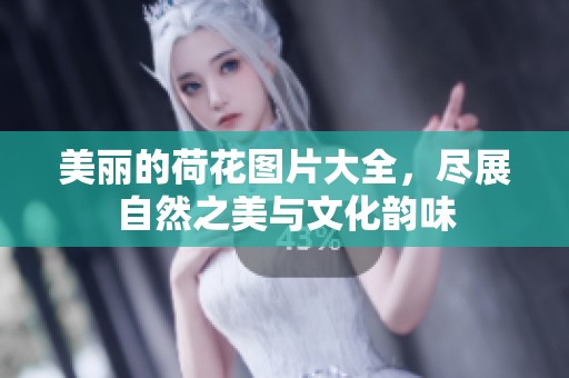 美丽的荷花图片大全，尽展自然之美与文化韵味