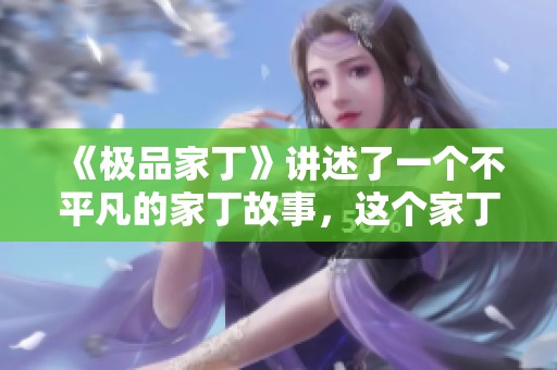 《极品家丁》讲述了一个不平凡的家丁故事，这个家丁的经历令人难忘