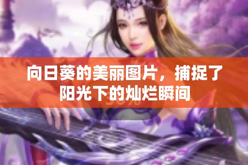 向日葵的美丽图片，捕捉了阳光下的灿烂瞬间