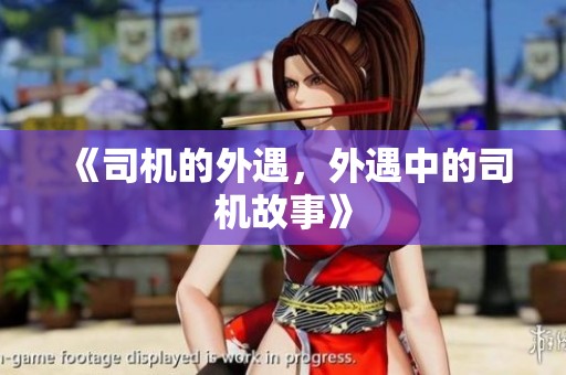 《司机的外遇，外遇中的司机故事》