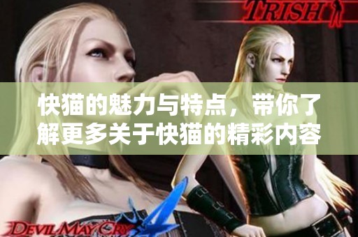 快猫的魅力与特点，带你了解更多关于快猫的精彩内容