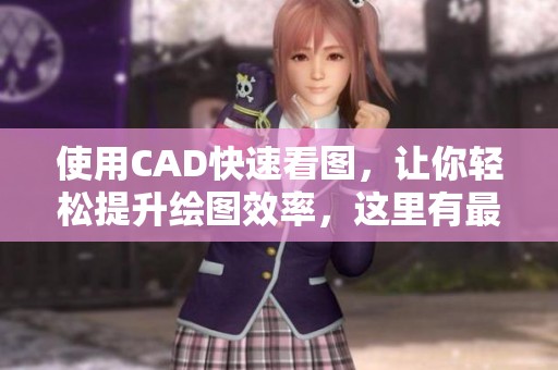 使用CAD快速看图，让你轻松提升绘图效率，这里有最佳技巧分享