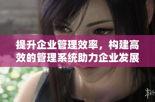 提升企业管理效率，构建高效的管理系统助力企业发展