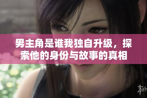 男主角是谁我独自升级，探索他的身份与故事的真相