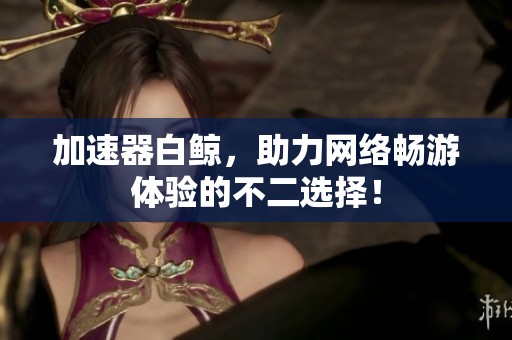 加速器白鲸，助力网络畅游体验的不二选择！