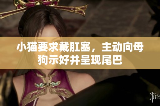 小猫要求戴肛塞，主动向母狗示好并呈现尾巴