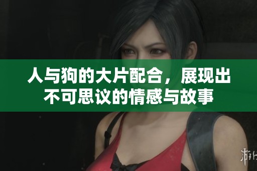 人与狗的大片配合，展现出不可思议的情感与故事