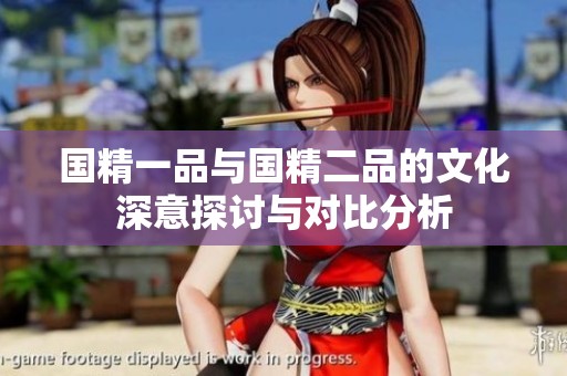 国精一品与国精二品的文化深意探讨与对比分析