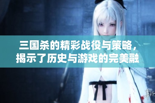 三国杀的精彩战役与策略，揭示了历史与游戏的完美融合