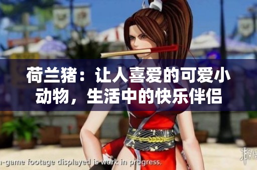 荷兰猪：让人喜爱的可爱小动物，生活中的快乐伴侣