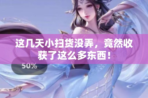 这几天小扫货没弄，竟然收获了这么多东西！