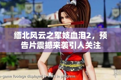 缅北风云之军妓血泪2，预告片震撼来袭引人关注