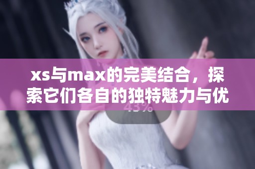 xs与max的完美结合，探索它们各自的独特魅力与优势