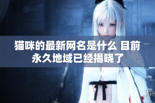 猫咪的最新网名是什么 目前永久地域已经揭晓了