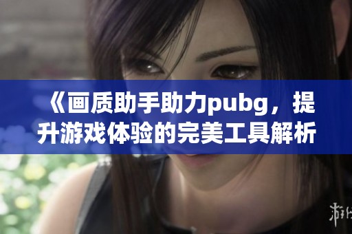 《画质助手助力pubg，提升游戏体验的完美工具解析》