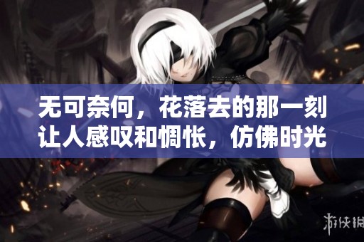 无可奈何，花落去的那一刻让人感叹和惆怅，仿佛时光不再。