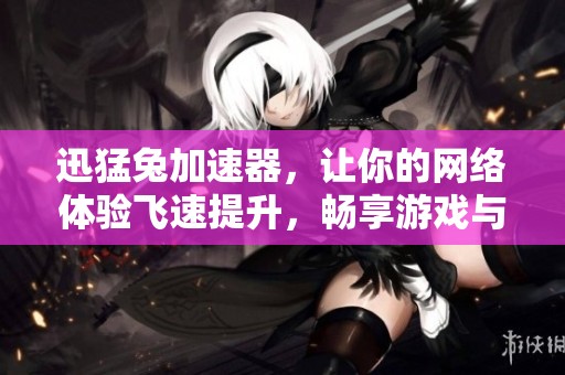 迅猛兔加速器，让你的网络体验飞速提升，畅享游戏与冲浪乐趣