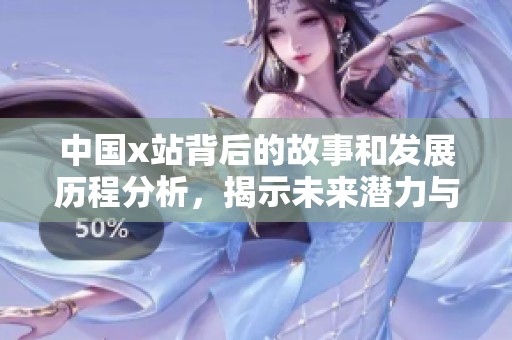 中国x站背后的故事和发展历程分析，揭示未来潜力与挑战