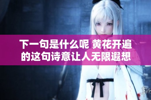 下一句是什么呢 黄花开遍的这句诗意让人无限遐想