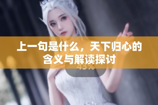 上一句是什么，天下归心的含义与解读探讨