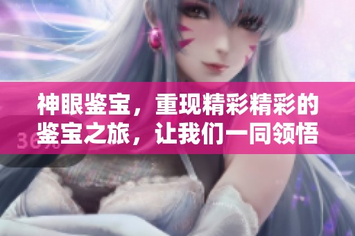 神眼鉴宝，重现精彩精彩的鉴宝之旅，让我们一同领悟其中的奥妙