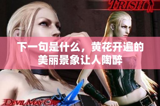 下一句是什么，黄花开遍的美丽景象让人陶醉