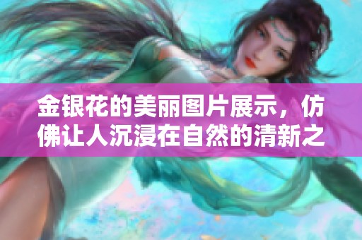 金银花的美丽图片展示，仿佛让人沉浸在自然的清新之中