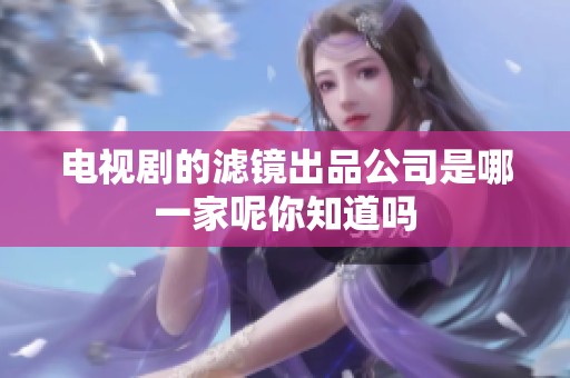 电视剧的滤镜出品公司是哪一家呢你知道吗